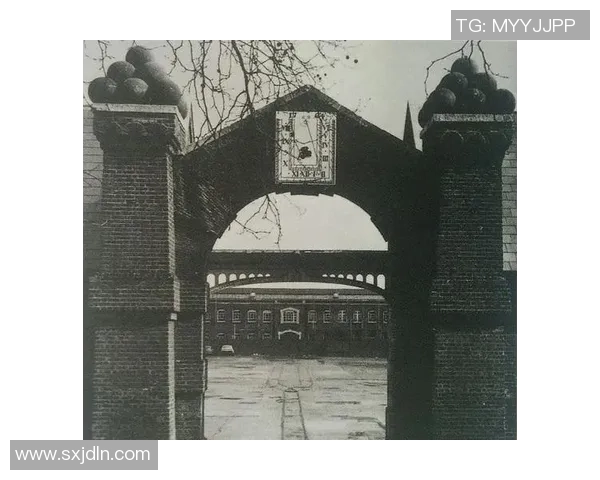 南京篮球队的成长之路：从默默无闻到大师赛的辉煌历程